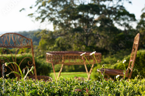 A wooden chair and table in the garden