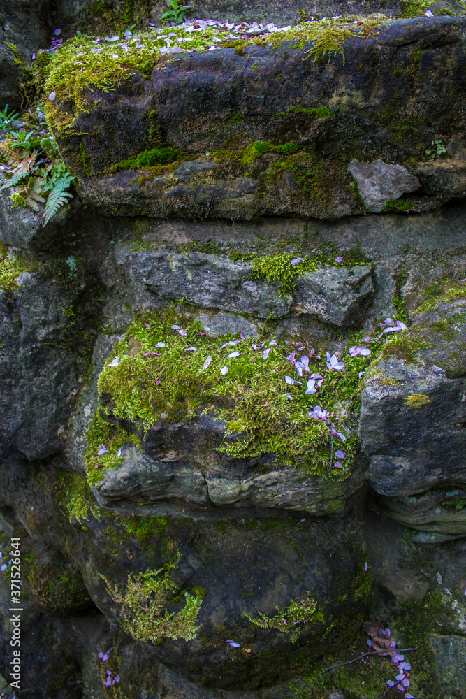 Beautiful Moss Covered Stones Cover Medieval Walls Built in Municipal Park in Luxembourg City, Luxembourg Beautiful Moss Covered Stones Cover Medieval Walls Built in Municipal Park in Luxembourg City, Luxembourg
