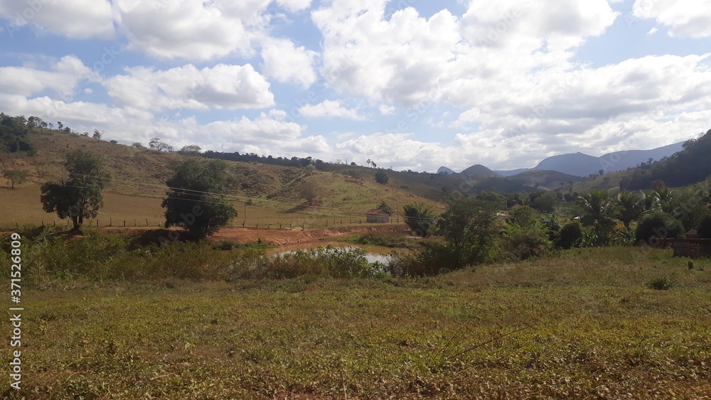 Obraz premium natureza