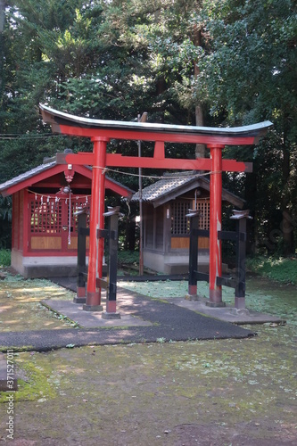 japanese garden gate © 典成 遠山
