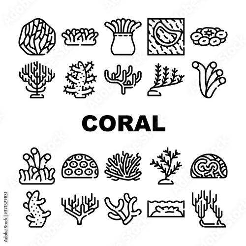 Coral Sea Aquatic Reef Collection Icons Set Vector
