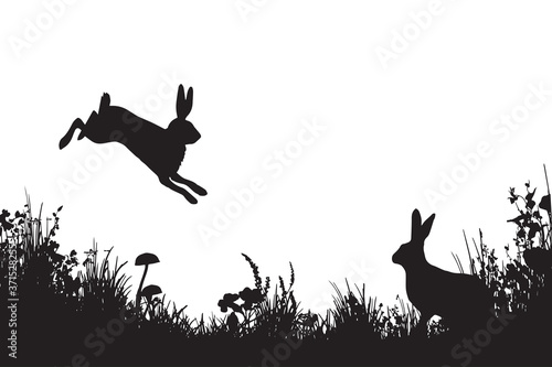 Hares in the meadow silhouettes. Wall art black and white
