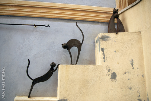 DUO DE CHATS