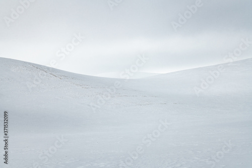 Canvas Print Winter Landscape in the Palouse, WA