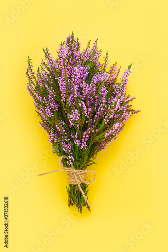 A bouquet of Pink Common Heather flowers on a bright yellow background. Copy space, top view. Flat lay