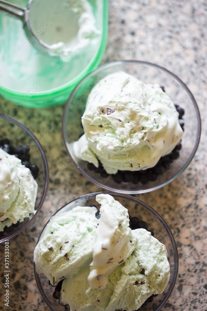 Mint and chocolate ice with fresh blueberries Mint and chocolate ice with fresh blueberries