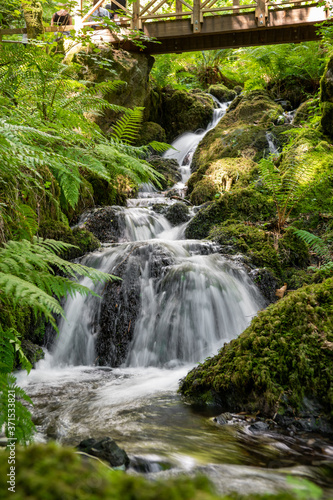 Long exposure of a stream flowing under a wooden footbridge at Canonteign falls in Devon photo