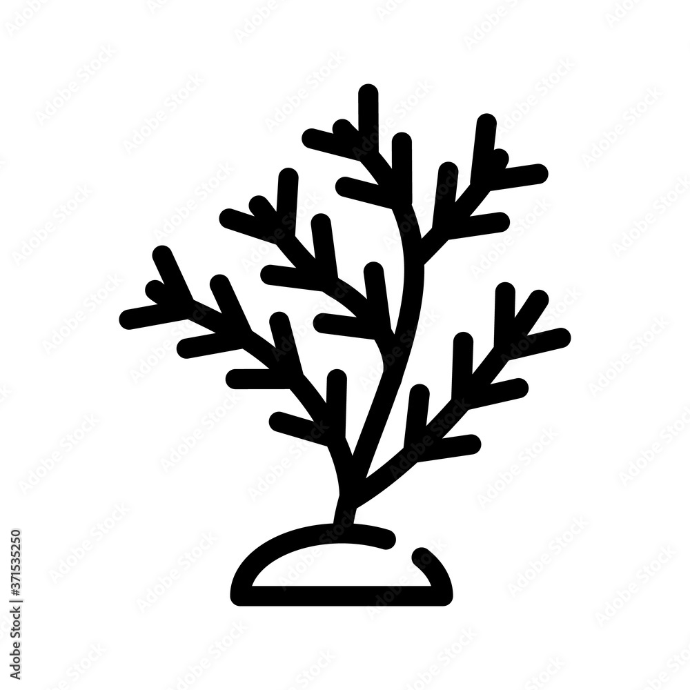 Fototapeta premium aquatic coral line icon vector illustration isolated