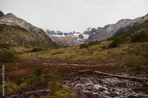 Peat fen in the Andes mountains. Natural peat bog with Sphagnum magellanicum moss. 