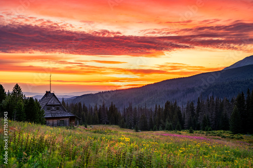 Fototapeta Naklejka Na Ścianę i Meble -  Beautiful summer sunrise in the mountains