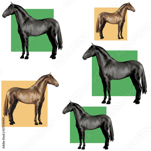  background of realistic figures of horses  on a white background for packaging  postcards  notebooks  fabrics
