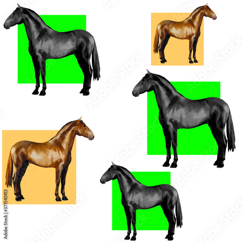  background of realistic figures of horses, on a white background for packaging, postcards, notebooks, fabrics