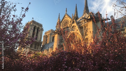 Notre Dame in flowers