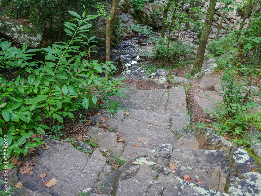 Obraz premium rocky section of high falls trail in the talladega national forest, alabama, usa