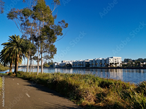 Beautiful view of a river with reflections of modern apartment buildings, deep blue sky and trees on water, Parramatta river, Wilson Park, Silverwater, Sydney, New South Wales, Australia 