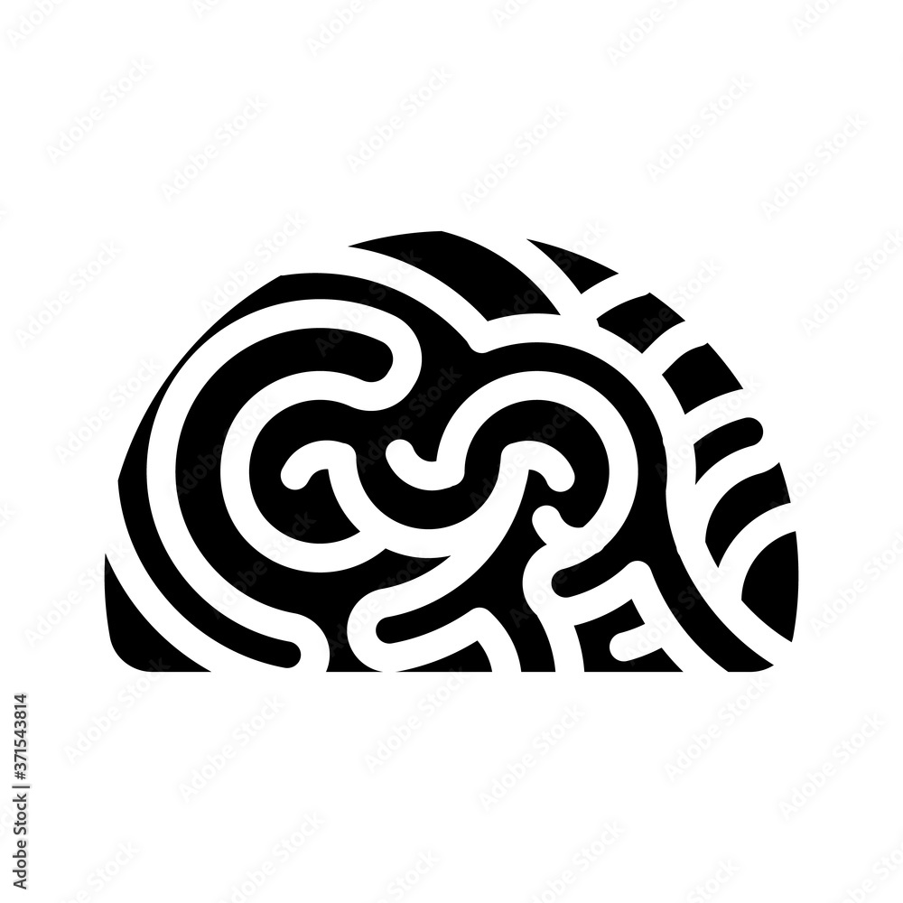 marine shell glyph icon vector illustration isolated