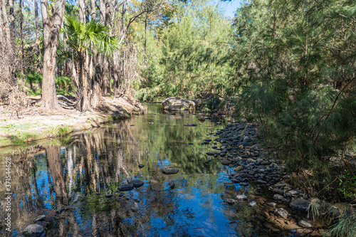 The tranquil National Park Carnarvon Gorge Creek, Queensland, Australia 