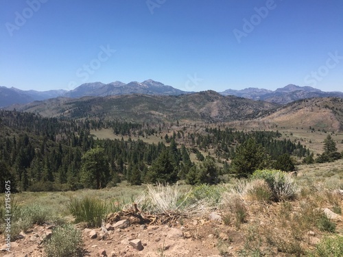 Mineral mountain in the distance, viewed from a picnic area on highway 89, in El Dorado County, California.