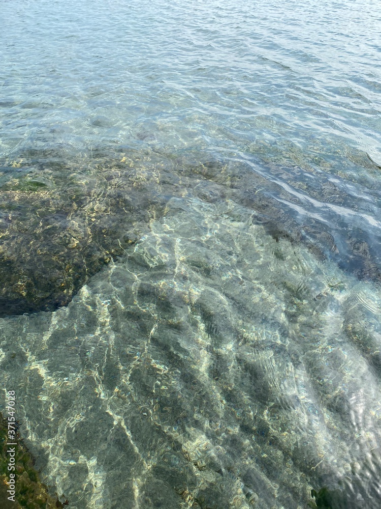 Obraz premium coral reef and sea