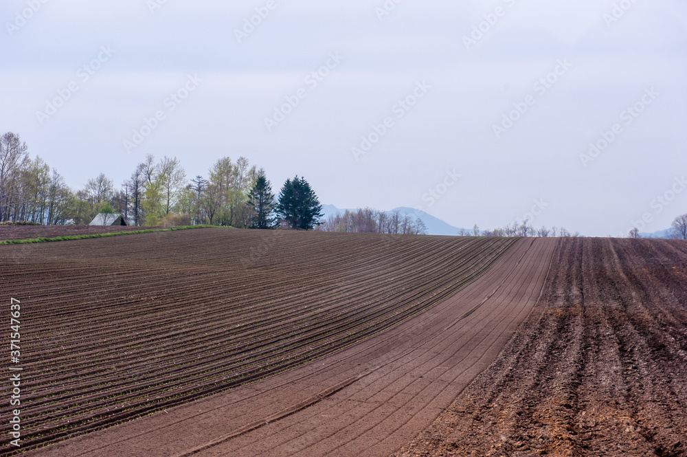 Agricultural field,brown soil farm landscape.Line of arable land.