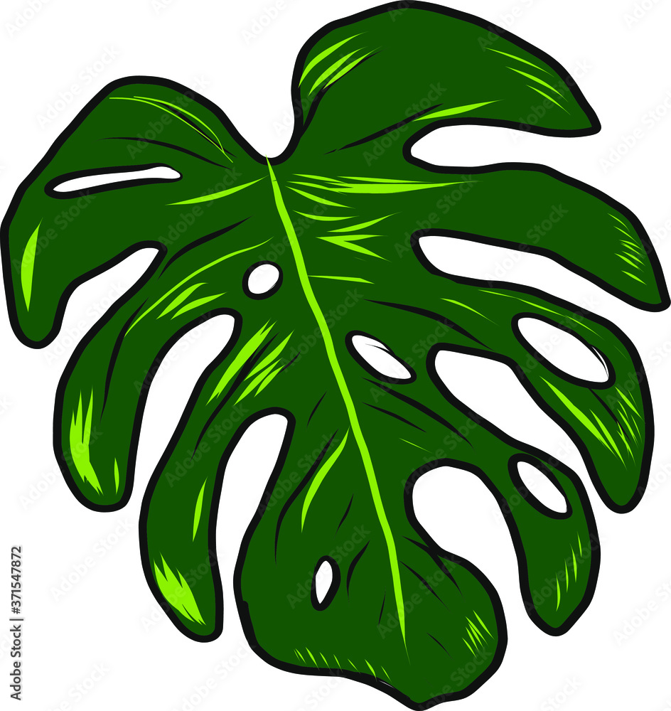 Monstera leaf Isolated Floral Tropical Hawaiian Flower Pattern design. Illustration vector Art Monstera leaf Isolated Floral Tropical Hawaiian Flower Pattern design. Illustration vector Art