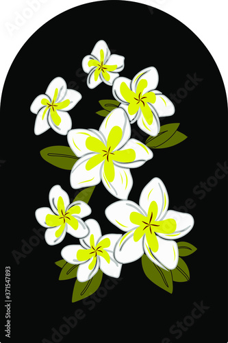 Plumeria Flower Hawaiian Floral Pattern With Black Arch. Tropical Flowers