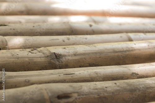 Dried bamboo poles used for flooring in a rustic hut in the Thai jungle