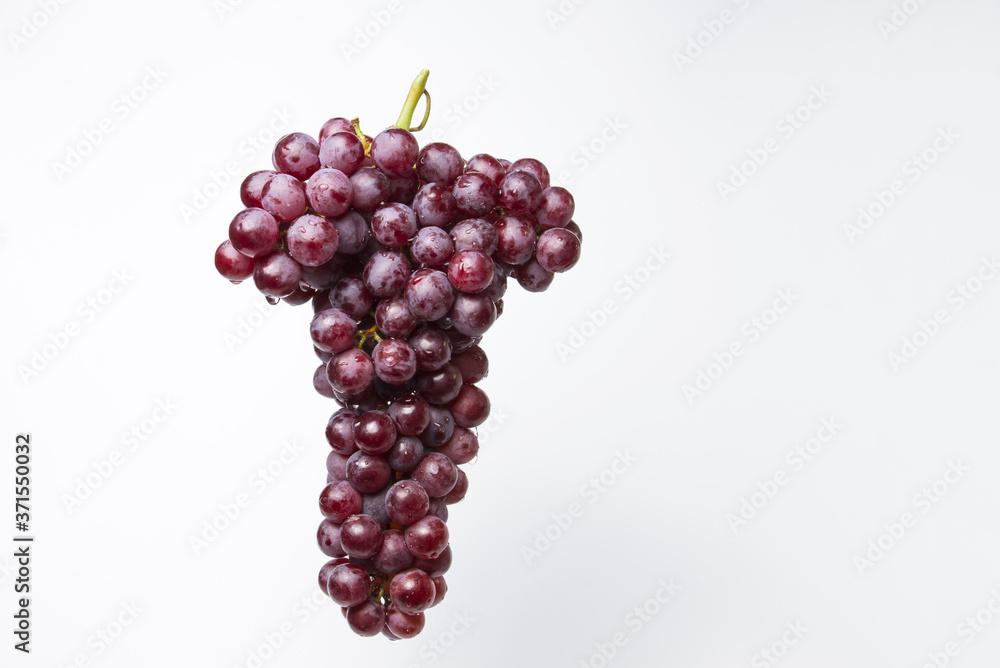 A large bunch of red grapes with water droplets on fresh grapes on a white background. With space for text