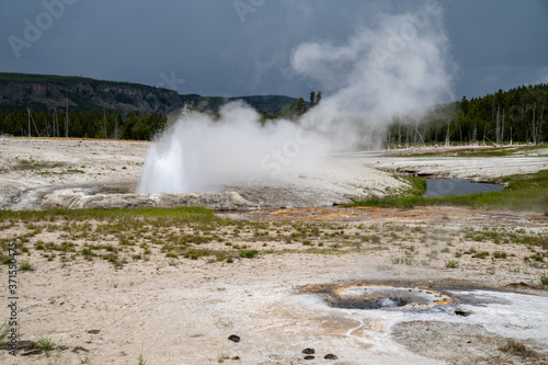 Cliff Geyser erupting and spewing hot water vapor out of the Earth in Yellowstone National Park