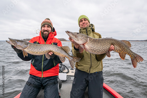 Success pike fishing. Happy two fishermen with big fish trophy at boat
