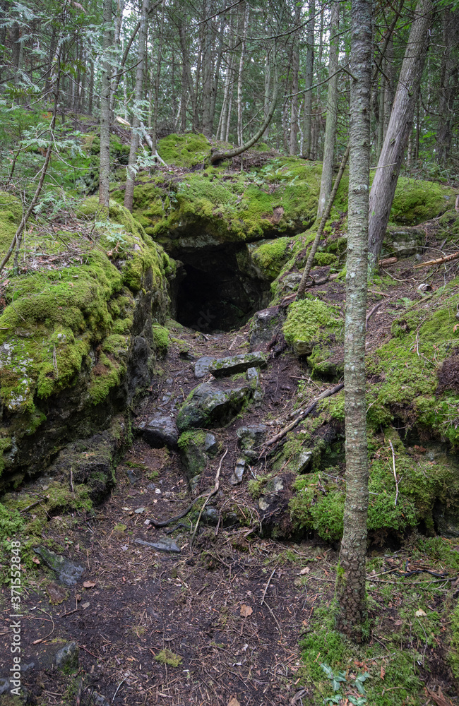Scenery and flora along Bruce trail near Tobermory Scenery and flora along Bruce trail near Tobermory