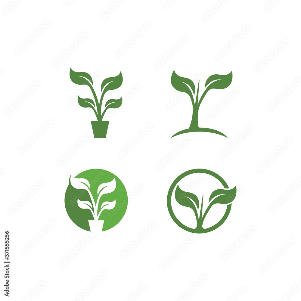Green leaf Green leaf