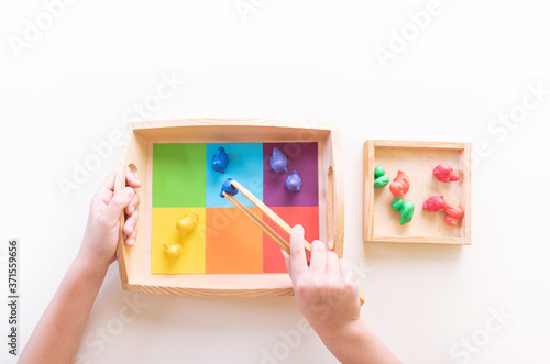 Montessori material sorting by color. Education at home.