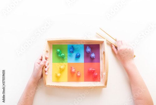 Montessori material sorting by color. Education at home.