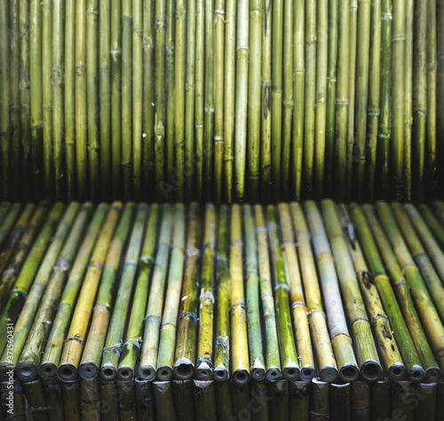 green bamboo wood texture for defence garden wall