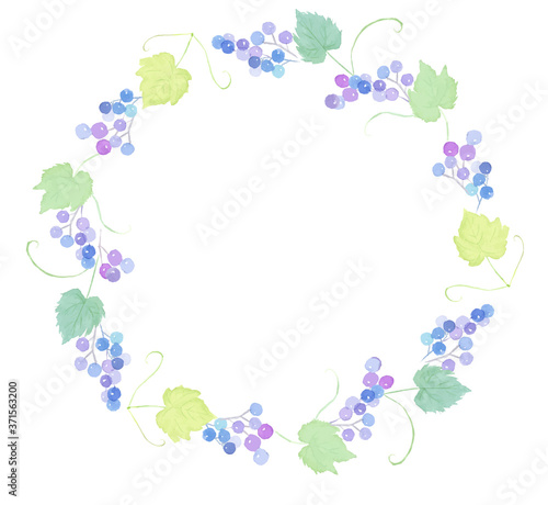 水彩で描いた野ブドウのリース