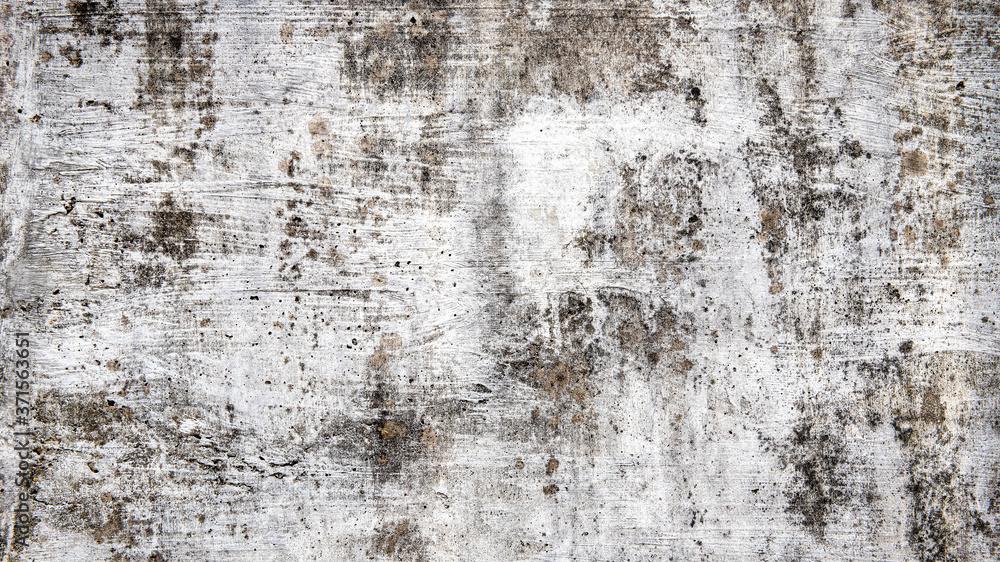 Fototapeta premium 古びた質感のあるコンクリートの壁の背景テクスチャー