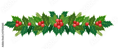 Christmas poinsettia garland. Vector frame, border, decoration for holiday cards, invitations, banners. Holly leaves and berries isolated on a white background. Christmas ornament. © dsnovik