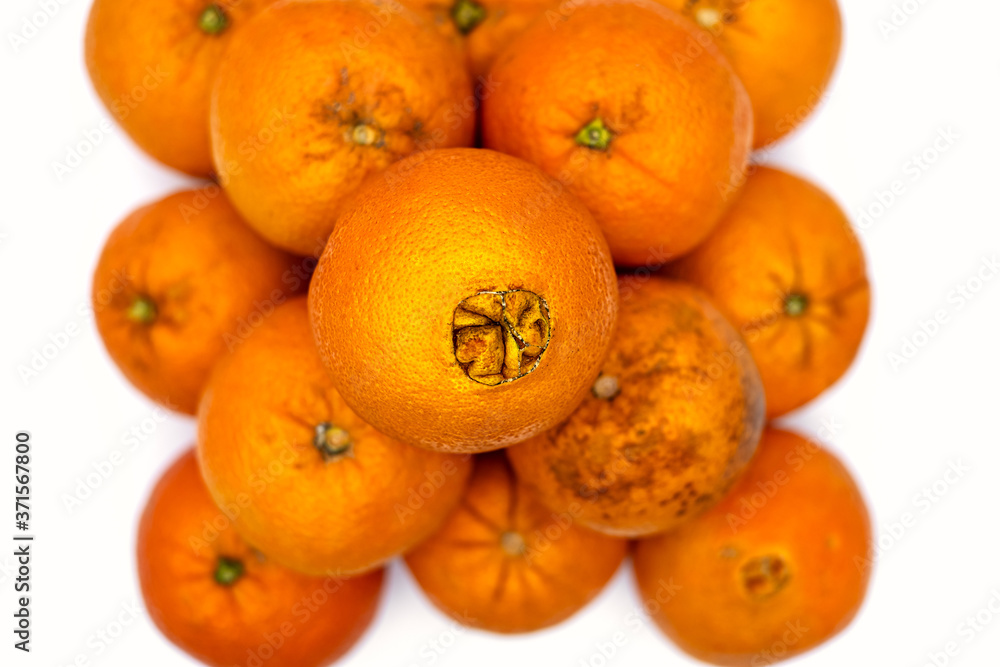 oranges in a pile against white background oranges in a pile against white background