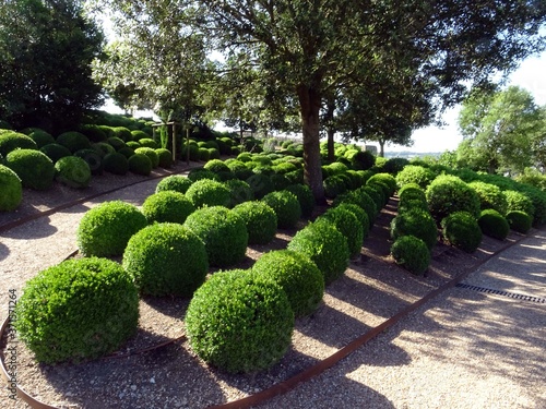Jardin à la française