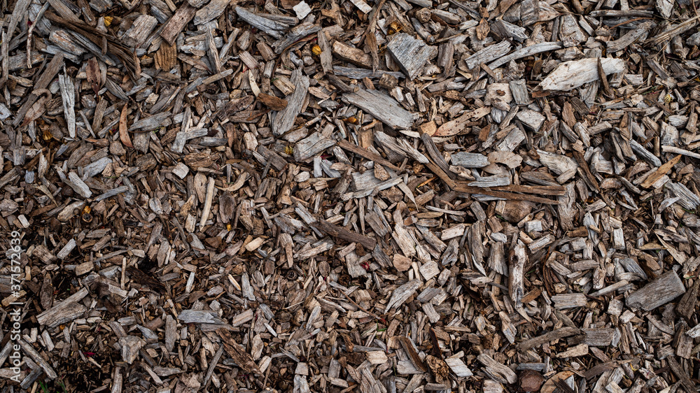 Sticks, bark texture mulch