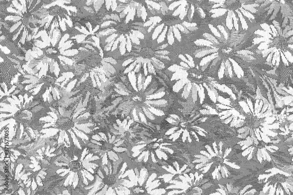 White daisies on a gray background. Seamless pattern.