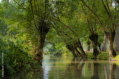 Konstfotografi Marais Poitevin