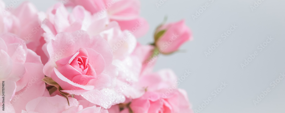 Obraz premium Pink roses on gray background. Perfect for background greeting cards and invitations of the wedding, birthday, Valentine's Day, Mother's Day