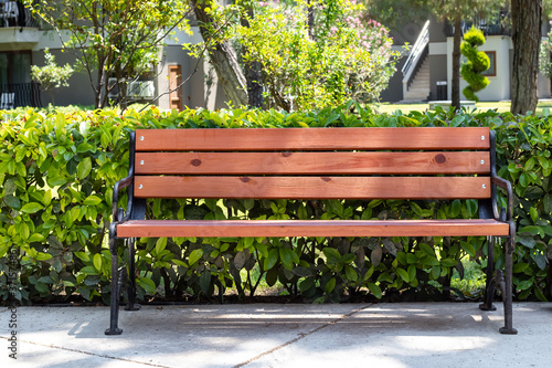 Empty wooden bench in the backyard of the campus, summer hedge, a green bush fence. Rest concept.