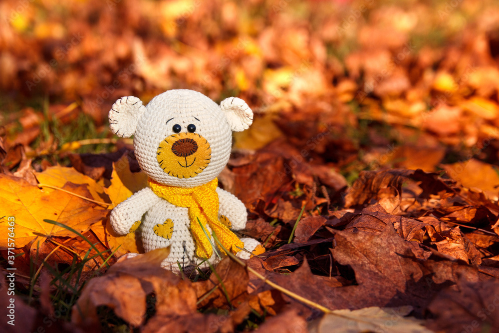 Small knitted amigurumi teddy bear sitting autumn background. Teddy bear doll toy on yellow flower background. Small knitted amigurumi teddy bear sitting autumn background. Teddy bear doll toy on yellow flower background.