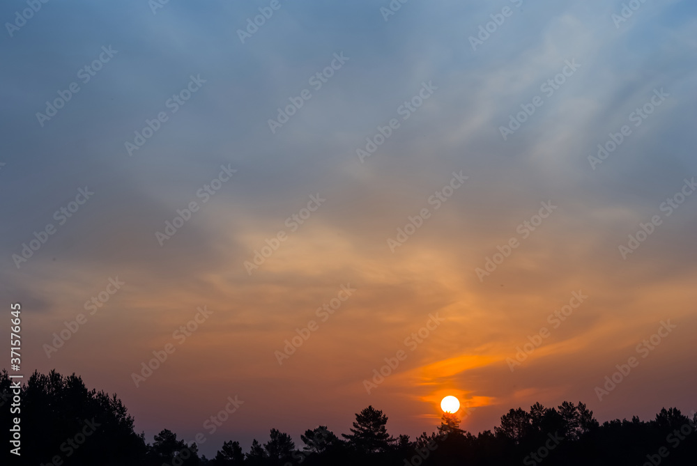 dramatic red sunset over a forest silhouette, evening sky background