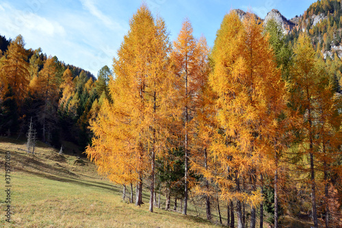 autumn on the Italian Dolomites