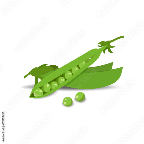 Vector illustration of pea pods