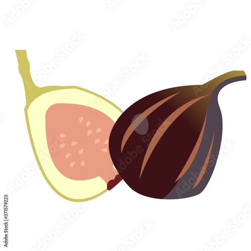 illustration of autumn fruits - figs